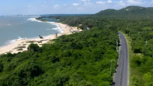 Xuyên Mộc - Sài Gòn